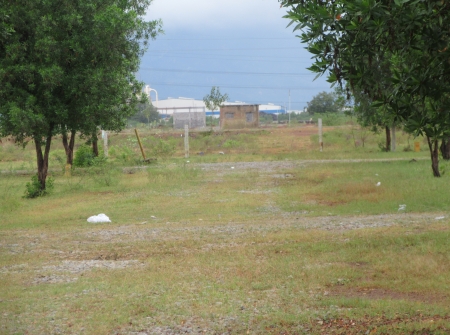 7) Li Id : 126 - Pic : 8.JPG